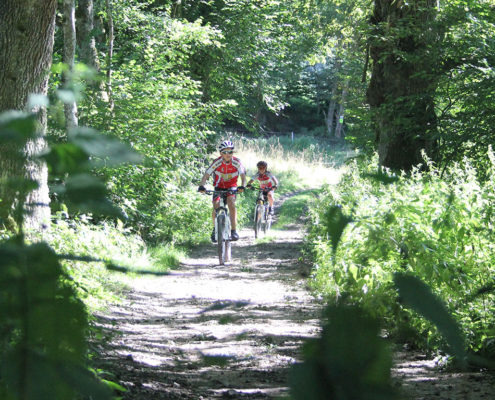 mountainbike frankrijk vakantie