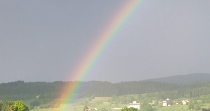 regenboog