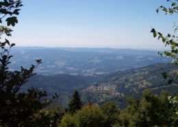 natuurpark Livradois Forez Auvergne midden Frankrijk